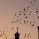 مسجد وكنسية  -CC0