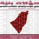 تحولات بنية الصراع الإسرائيلي ـ الفلسطيني.. غلاف كتاب