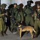 إسرائيل تشن حملة مداهامت واعتقالات لبيوت قادة حماس في الضفة - أ ف ب
