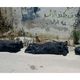 الثوار يعثرون على مقبرة جماعية في أريحا - إدلب - سوريا - بعد انسحاب قوات النظام  (الأناضول)