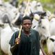 راع مسلم من قيبلة الفولاني في وسط نيجيريا - جيتي