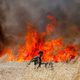 الحرائق حول غزة- جيتي