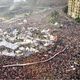 تظاهرات 30 يونيو مصر