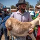 GettyImages-1227809384