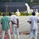 ايبولا إيبولا أ ف ب فايروس مرض طب