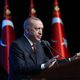 تركيا أردوغان - الأناضول