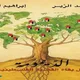 الديمومة.. غلاف كتاب