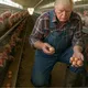 20250710_1159_Farmhand Trump Egg Collection_simple_compose_01jzsrwxthfnp93eaqhva3b944