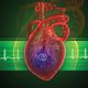 القلب جهاز نوبات  قلب