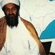 حمزة بن لادن