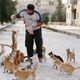 علاء حلب قطط