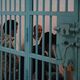 سجناء جزائريين