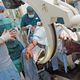 عملية جراحية لمريض أصيب في غارات جوية في مستشفى مدينة إدلب - صندي تايمز